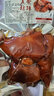 老杜 上海酱香牛肉熏鱼本帮风味酥鱼爆鱼卤味开袋即食下酒菜美食鱼肉 上海风味熏鱼 200g 实拍图