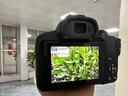 佳能r50相机 入门级微单 旅行家用学生vlog视频 4k小巧便携半画幅R50数码照相机 R50黑色拆单机+RF-S 18-150一镜走天下 套餐三【升级128G相机专用卡~相机专用三脚架】 实拍图