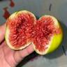 骑猴赶马山东威海青皮无花果【顺丰空运】新鲜无花果鲜果青皮无花果新鲜 【3斤净重2.7斤丨单果40-60g】 实拍图
