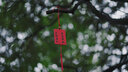 索尼（SONY）全画幅 定焦镜头 微单镜头 50F1.8/35F1.8 /55F1.8 /85F1.8  人像 特写 街拍 夜景大光圈定焦 FE55F1.8 ZA蔡司 实拍图