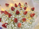 鲜花情草莓花束车厘子水果鲜花同城配送老公女朋友老婆生日礼物 19颗草莓花束·满天星 同城配送 支持预约日期 实拍图