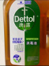 滴露（Dettol）消毒液消毒水1.2L衣物除菌液家居宠物环境地板杀菌除螨 非84酒精 晒单实拍图