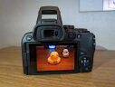 佳能（Canon）EOS R10 轻量・高性能数码微单相机 18-150高倍率变焦镜头套装（约23张每秒连拍/4K短片） 实拍图