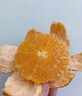 马保果青皮桔云南蜜橘早熟青皮橘子新鲜水果整箱绿皮蜜桔当季青皮酸桔子 4斤 礼盒装 实拍图