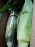云南水果玉米 现摘 新鲜蔬菜玉米 甜玉米棒 可生吃 甜脆爆浆 5斤（约5-9根） 晒单实拍图
