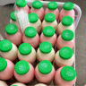 李子园甜牛奶乳饮料朱古力风味饮品450ml*10瓶整箱学生儿童奶营养早餐奶 晒单实拍图