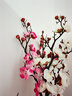 花艺赫家饰  仿真梅花枝假花摆件绢花腊梅干花桃花客厅摆设花束中式家居装饰 60cm白色中式梅花【5支】 实拍图