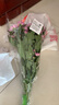 京东鲜花 小菊/小雏菊 随机色 5枝 实拍图