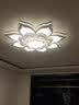 灵翔之光轻奢客厅灯简约现代异形大厅大灯大尺寸花朵led吸顶灯2026年新款 100cm无极120W适用25-30㎡ 实拍图
