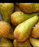 都乐Dole 比利时进口啤梨2.5kg 单果130g+ 生鲜水果梨 实拍图