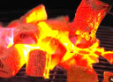 尚烤佳（Suncojia） 烧烤碳 无烟果木炭 围炉煮茶取暖炭 烤肉苹果木炭 烧烤燃料 5斤 晒单实拍图