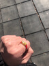 红色年轮 黄金貔貅戒指男女情侣款999足金皮丘黄金戒指送女友情人节礼物 单个【红绳款】金重:0.51-0.6g 实拍图