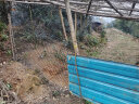 塑料网围栏网养殖网养鸡围栏网果园菜园围栏网格防护隔离栅栏围网 1米高25米长送扎带 3.5厘米孔1.8毫米厚 实拍图