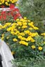 佳能（Canon）EOS600D750D700D760D800D850d学生入门拍照摄像二手单反相机 750D+50/1.8 STM小痰盂套机 95新 实拍图