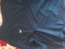 乔丹 短袖t恤男士夏季新款时尚上衣速干透气健身装休闲运动服冰丝半袖 日蚀蓝-POLO（透气）-系列2 L 实拍图