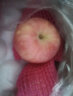 京鲜生烟台红富士苹果5kg 一级果 单果190g以上 新鲜水果礼盒  实拍图