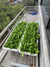 原起点长方形霍伦种菜盆60cm特大种花盆阳台种菜神器长条蔬菜草莓种植盆 不锈钢挂架（1个） 实拍图