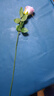 假花仿真花鲜花客厅装饰插花桌面绢花单支玫瑰花台桌干花摆件鲜花 雪山浅粉1支 实拍图