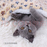 憨憨宠 狗狗垫子 猫垫子宠物棉垫盖垫秋冬季猫窝狗窝泰迪宠物毛毯睡垫窝 睡垫星星黄 110*80cm 实拍图
