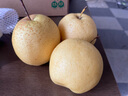 富祺元河北赵州赵县雪花梨新鲜水果冰糖雪梨煲汤秋梨膏脆甜多汁梨子 精品雪花梨 9斤装 实拍图