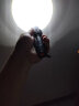 神鱼（SHENYU）强光手电筒可充电式家用户外LED远射王防水长续航迷你便携照明灯 1005 T6芯 一电一充 晒单实拍图