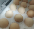 德青源安全鲜鸡蛋30枚1.29kg  无抗生素 谷物喂养 节日礼盒装 晒单实拍图