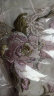 十三余小豆蔻儿[风祈春至]春季重工刺绣粉紫大袖衫吊带裙汉服女 改良大袖衫(双层) L 晒单实拍图