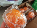 农夫山泉【宝藏鲜果】17.5度橙子 脐橙 当季采摘新鲜水果 水果礼盒 17.5°春橙脐橙3kg 实拍图