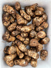 高原云品【不开帽】松茸新鲜  顺丰速达 香格里拉野生菌 送礼品袋 【甄选不开帽】5-6CM 净重1000克 实拍图