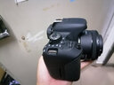 佳能/Canon 600D 700D 750D 760D 800D 二手单反相机新手入门旅游高清相机 800D【单机】 99新 实拍图