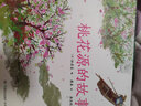 当当正版童书 蔡皋经典中国绘本套装3册 桃花源的故事/宝儿/花木兰 童书绘本百班千人推荐【3-8岁】 实拍图