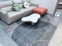 KAYE地毯客厅轻奢高级感大面积沙发茶几垫子家用免洗卧室床边毯可定制 FS-T136 200x300cm（大客厅） 实拍图