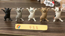 【现货】日本Qualia妖娆猫咪笔架桌面摆件举笔猫支架生日礼物女生 全套5只猫【第一代】 实拍图