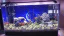 边胜超白鱼缸金晶五线玻璃客厅生态鱼缸水草缸溪流缸金晶玻璃缸 【顺丰上楼】120X60X60cm超白鱼缸12mm+鱼缸垫 超白裸缸 实拍图