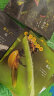 生命的故事（共30册）1-3辑（3-6岁儿童科普绘本昆虫动物百科全书用实拍大图记录生命的成长过程果壳、无穷小亮推荐）新老版本随机发货(中国环境标志绿色印刷) 晒单实拍图