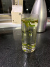 索雅特stolzle德国进口水晶玻璃茶杯套装家用高档水杯耐热泡龙井绿茶杯 荟萃水晶茶水杯【2支装】 380ml 实拍图