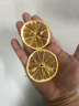 优质柠檬片精选柠檬片不加糖柠檬片泡水喝饮品柠檬干烘干柠檬片非冻干柠檬片非蜂蜜水果茶 袋装柠檬片250克（中间片） 实拍图