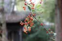 佳能（Canon）EOS系列 单机身 二手单反微单相机 高清照相机 半画幅 80D 机身 颜色样式规格可参考质检报告 实拍图
