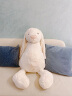Jellycat害羞乳白色邦尼兔动物毛绒玩偶安抚玩偶娃娃送礼生日礼物 害羞乳白色邦尼兔 Giant 实拍图