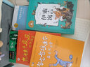 小学生基础阅读书目·世界儿童文学大师林格伦作品精选·注音美绘版·淘气包埃米尔真是不寻常 实拍图