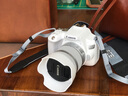 佳能（Canon） EOS 200D二代 200d2代单反相机入门单反vlog迷你单反数码照相机 200DII银色18-55 STM套机【入门家用】 官方标配【无必备配件摄影大礼包~推荐购买套餐】 实拍图