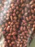 仁心食匠红皮花生米新货小粒生花生仁四粒红花生红衣花生米仁 5斤红皮花生米 实拍图