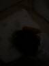 贝壳日记儿童枕头0-1-3-6-12岁婴儿枕头幼儿园小孩乳胶宝宝枕头四季夏天 星梦之旅双芯 【0-8岁】 实拍图