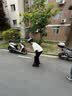小状元轮滑鞋成人溜冰鞋男女童旱冰鞋儿童初学者直排滑冰鞋专业滑轮鞋 黑红（全闪全套） XL (适合日常鞋码42-44码) 实拍图