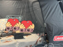 迪卡侬充气床架营地露营优质睡眠单人70cm舒适易收纳ODCF70cm单人充气床架-2923834 晒单实拍图