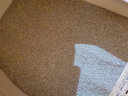 蓝钻猫砂 膨润土猫沙活性炭低尘结团消臭猫沙宠物猫咪厕所用品25磅 红标清香-多猫锁味25磅 实拍图