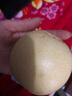 融暖（RONGNUAN）【现货】正宗河北皇冠梨薄皮10斤雪梨砀山梨大果新鲜应季水果 5斤带箱重【大果】精选装 实拍图