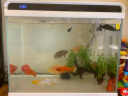 森森 超白玻璃智能一体小鱼缸HE-480款 带水泵LED变色灯水温显示 实拍图