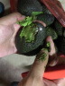 牛油果先生牛油果先生（轻食）秘鲁应季当季水果原装整箱进口牛油果（熟果） 巨无霸24个装（单果重190g+） 熟果 实拍图