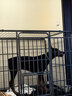 憨憨宠 狗笼 狗笼子中大型犬小型犬带厕所加粗加固金毛拉布拉多方管笼子 黑浮银126*94*110CM含轮高度 120斤内适用 实拍图
